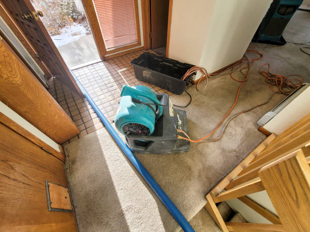 Best Water damage restoration near me  in Christopher, IL