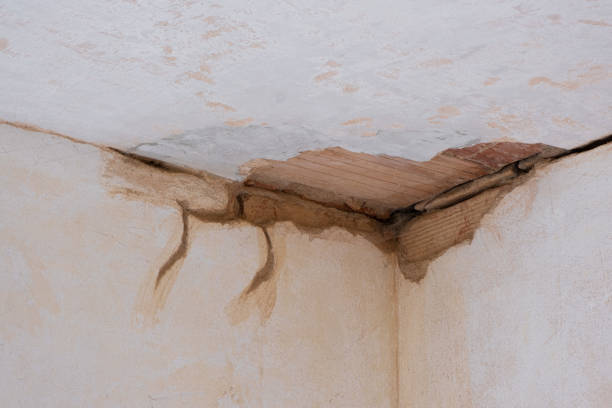 Best Sewage cleanup and water damage restoration  in Christopher, IL