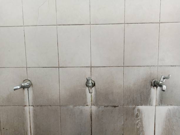 Water damage restoration mold remediation in IL
